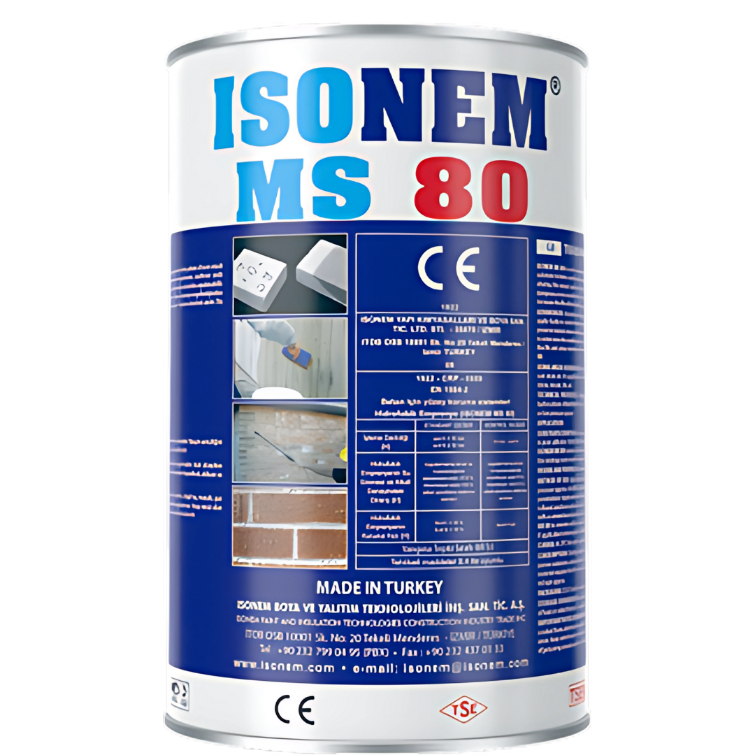 MS 80